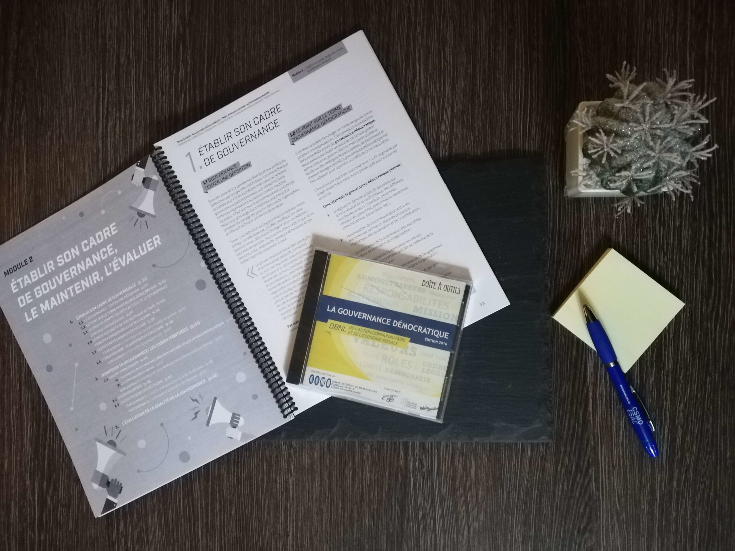 Gouvernance démocratique – OBNL