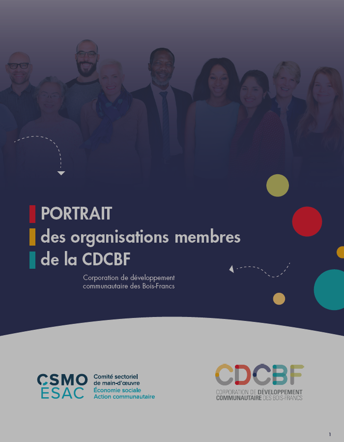 Portrait des organisations membres de la Corporation de développement communautaire des Bois-Francs