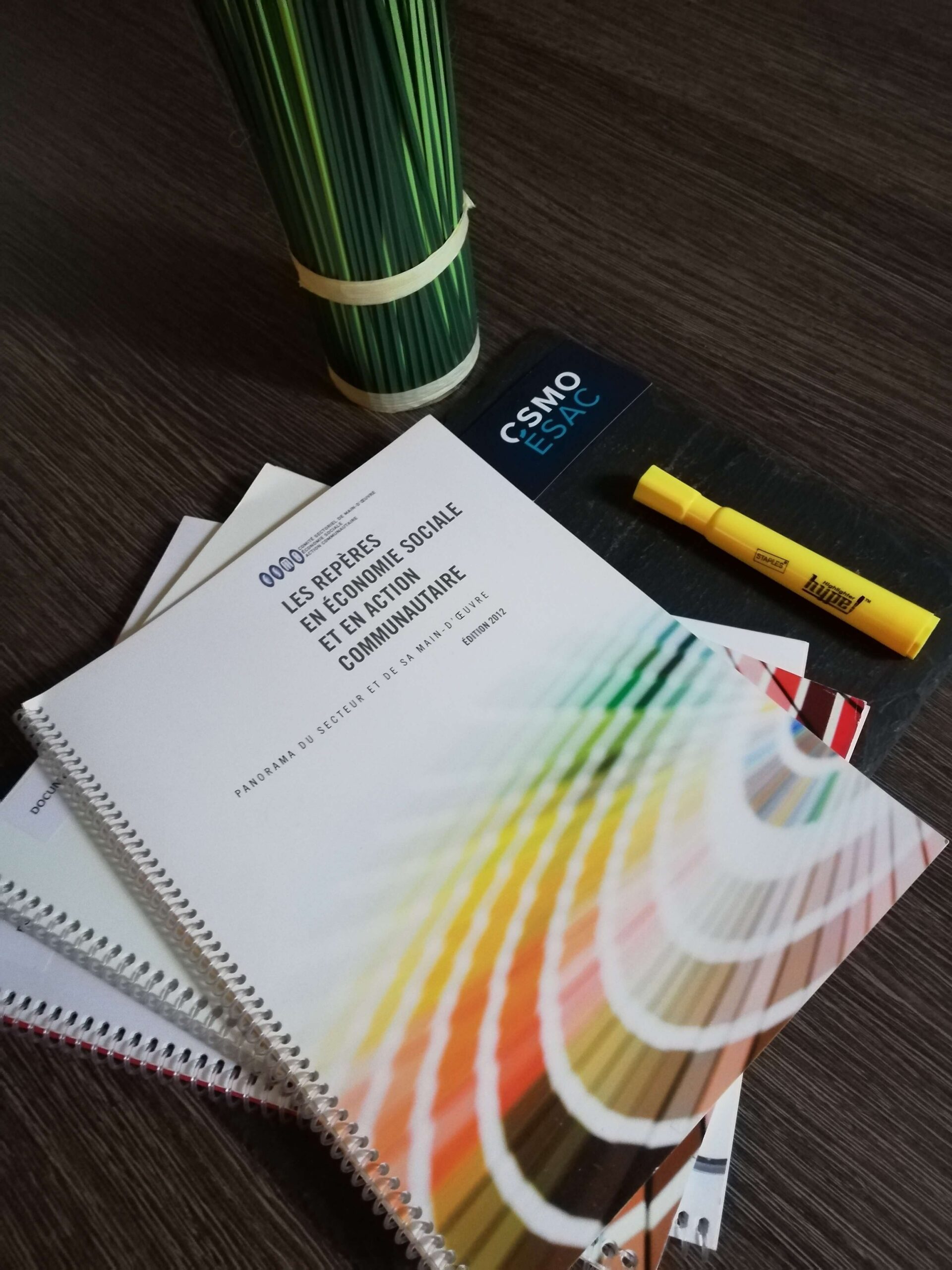 Les Repères en économie sociale et en action communautaire, Édition 2012