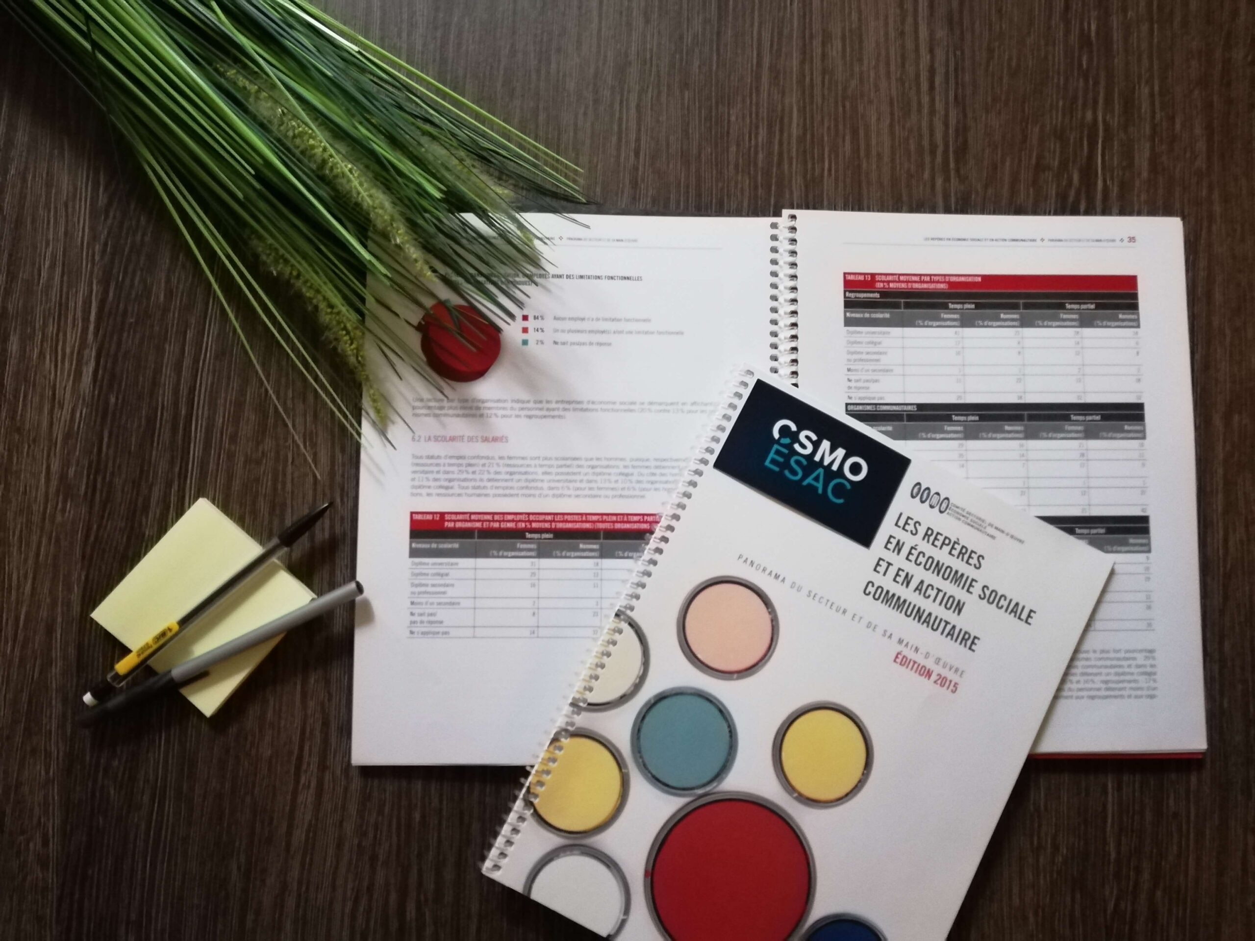 Les Repères en économie sociale et en action communautaire, Édition 2015