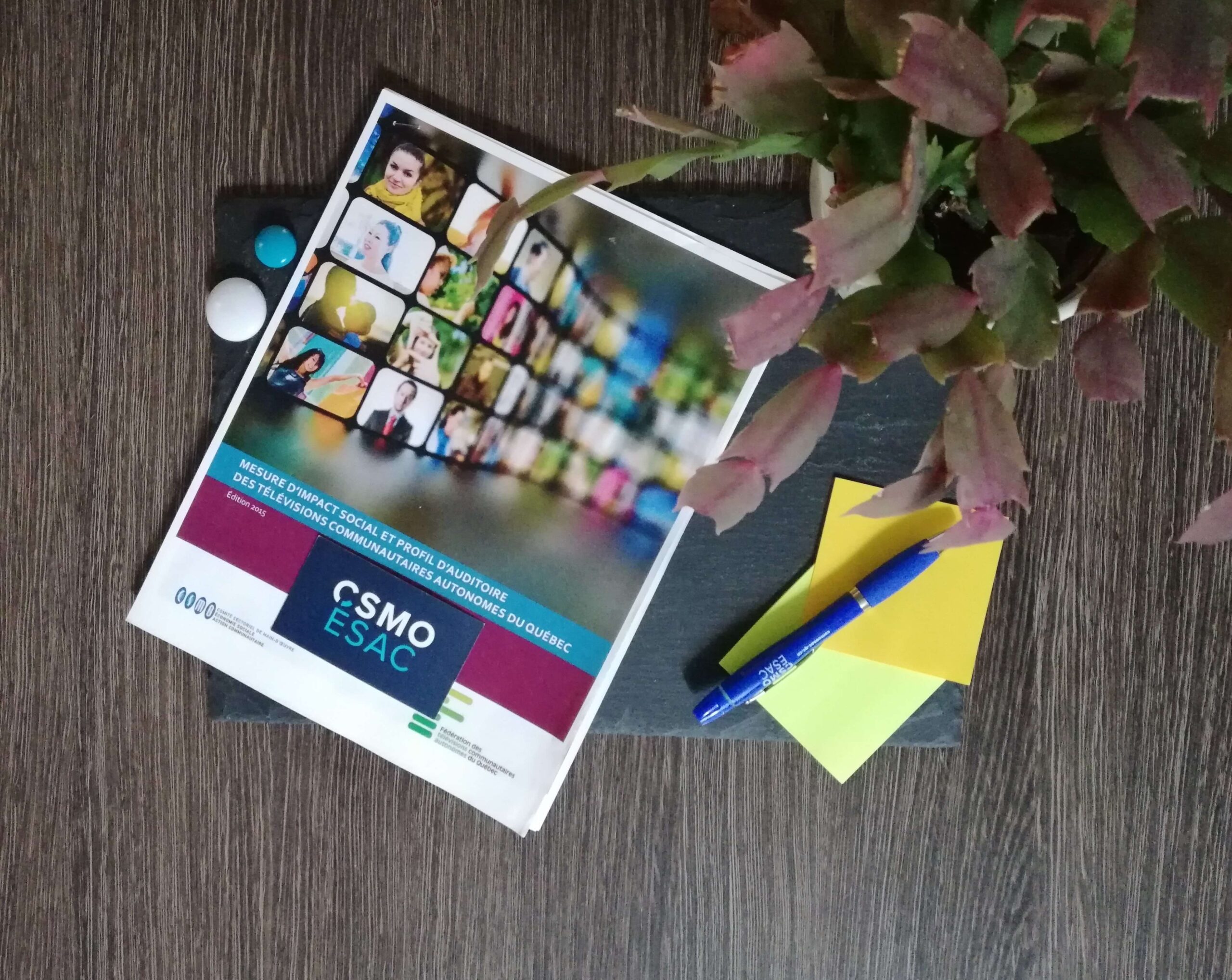 Mesure d’impact social et profil d’auditoire des télévisions communautaires autonomes du Québec