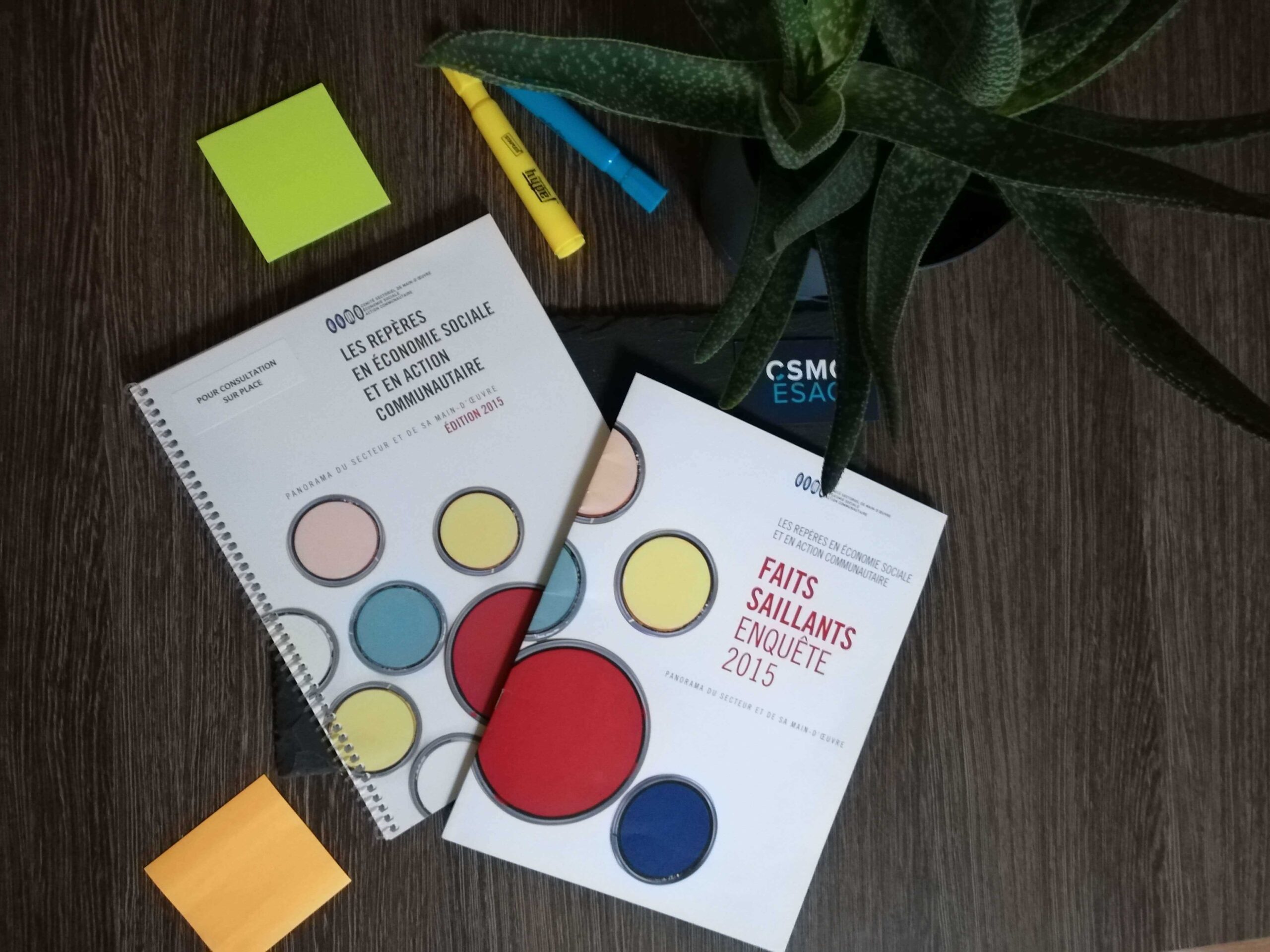 Faits saillants de l&rsquo;enquête nationale Les Repères, édition 2015