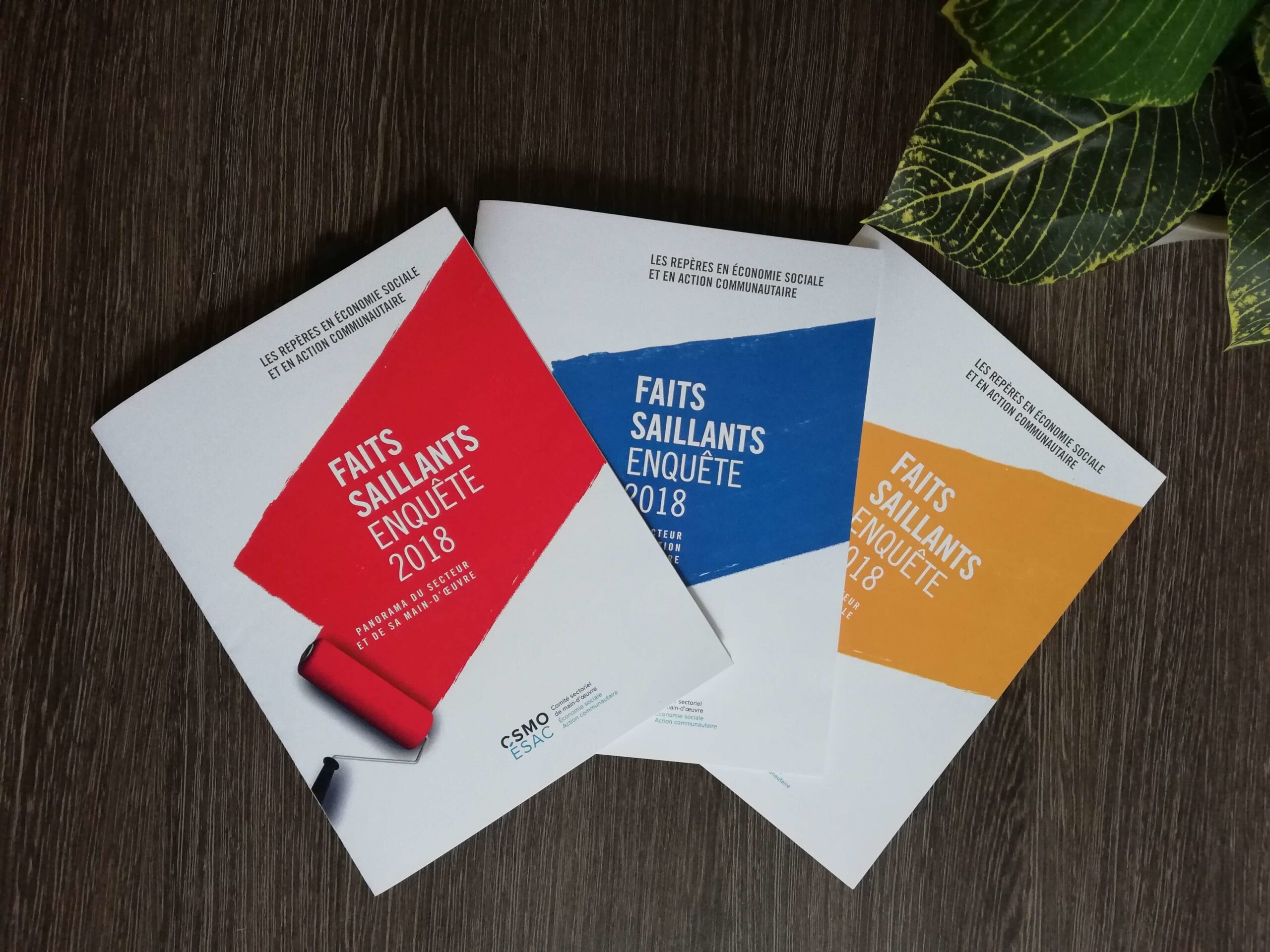 Faits saillants de l’enquête Repères en ÉSAC, Édition 2018