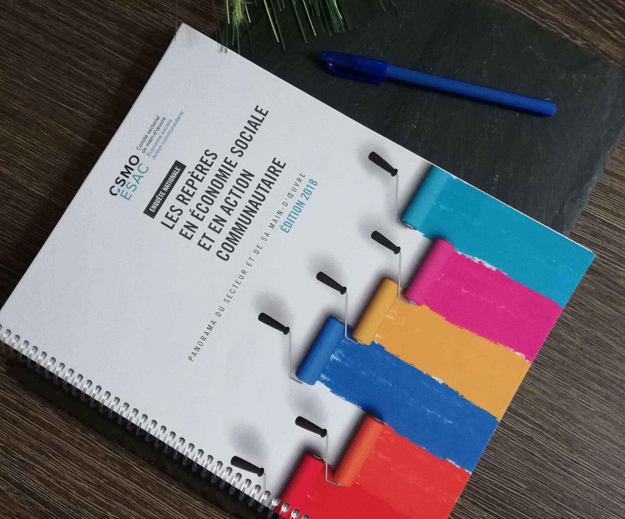 Les Repères en économie sociale et en action communautaire, Édition 2018