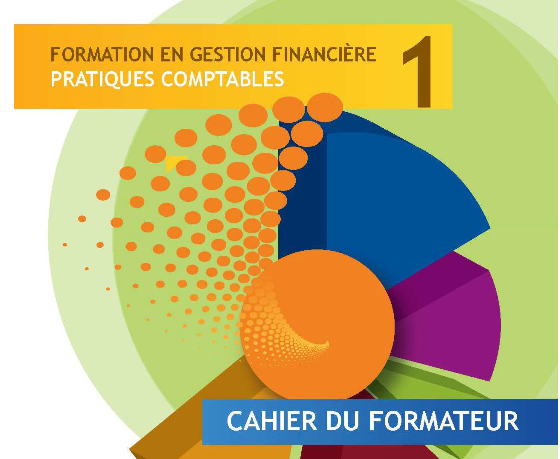 Kit pour les formateurs en gestion financière : Module 1 – Pratiques comptables