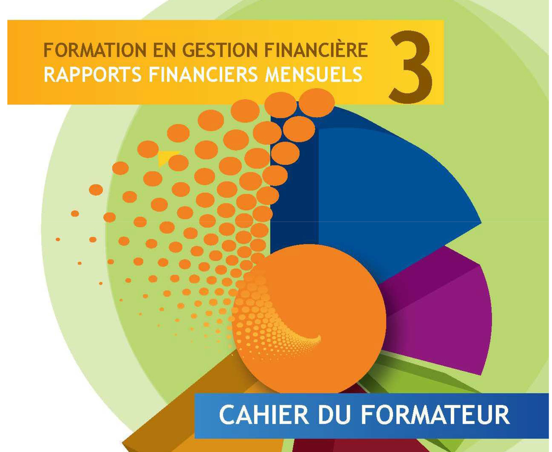 Kit pour les formateurs en gestion financière : Module 3 – Rapports financiers mensuels